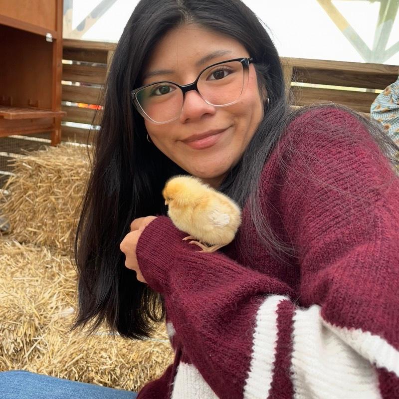 Profile photo